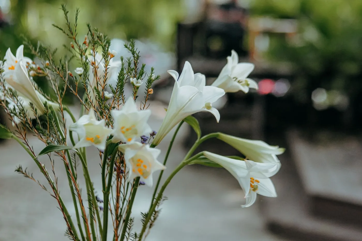 Weisse Blumen – Trauerfloristik und würdevoller Abschied in Bern und Umgebung