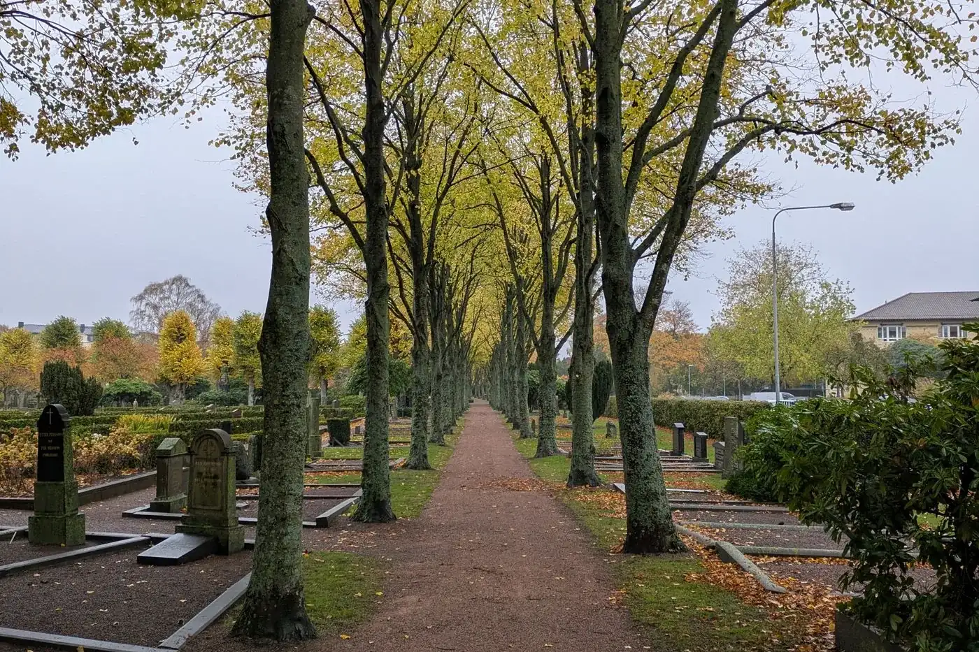 Baumallee auf einem Friedhof – Erdbestattung in Bern und Umgebung