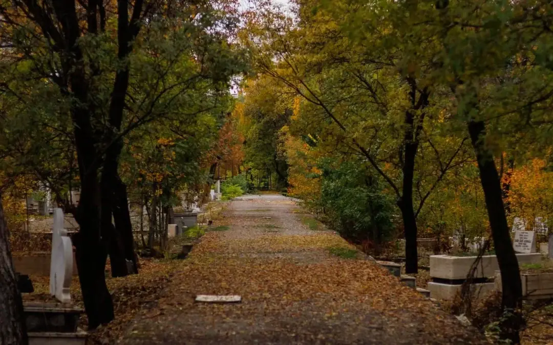 Herbstlicher Friedhofsweg – Exhumierung und Umbettung in Bern und Umgebung
